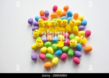 Fluffy yellow Easter chicks and brightly coloured Easter eggs Stock Photo