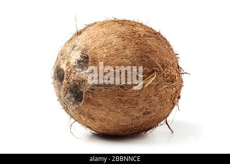 Coconut close up isolated on white background Stock Photo