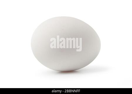 White chicken egg isolated on white background Stock Photo