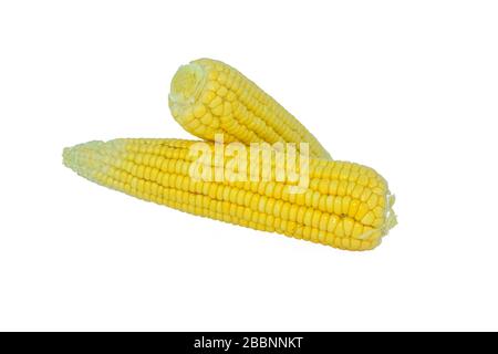 Side view of two yellow colored sweet corn isolated on an empty white background Stock Photo