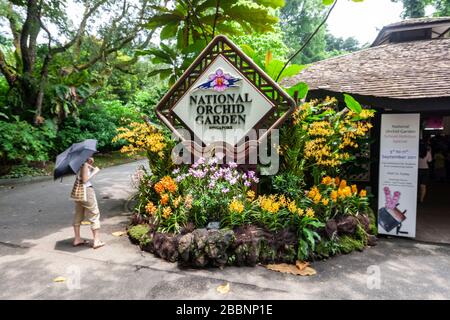 Tourist in Orchid plants in National Orchid Garden sign, Singapore Botanic Gardens, Singapore