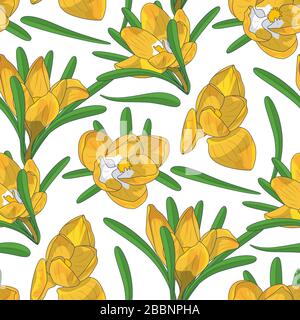 Hand drawn yellow crocus flowers seamless floral pattern. Vector illustration Stock Vector