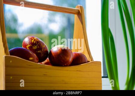 Easter eggs are coloured by the ancient onion husk method with various natural patterns in box by window in sunshine on beige burlap next to sprouted Stock Photo
