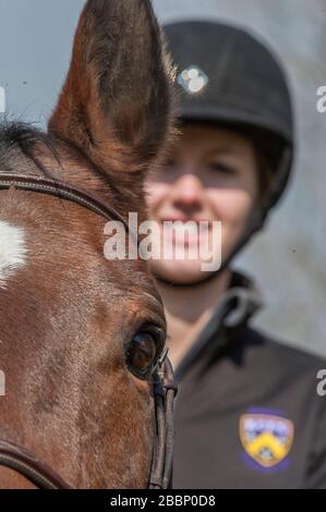 Horse eye and womans face Stock Photo