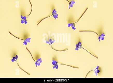 Flower composition. Pattern of spring flowers on a yellow background. Easter, spring, summer concept. Flat lay, top view. Stock Photo