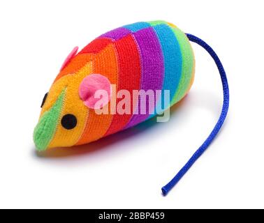 Colorful Mouse Cat Toy Isolated on White, Stock Photo