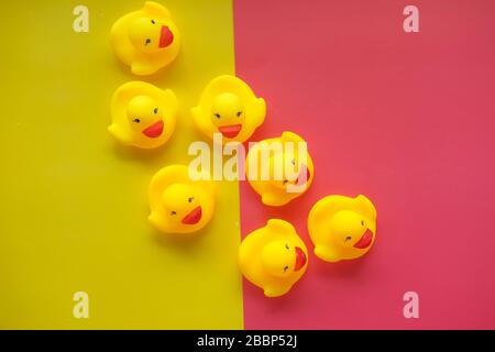 Close up of yellow color plastic duck on blue background. Stock Photo