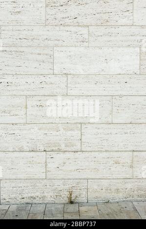 Travertine facade as background with small piece of travertine stone floor with fouling of a small weed plant Stock Photo