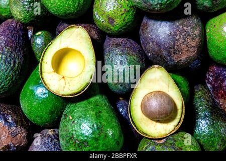 Avocado (Persea americana) on display in a market Stock Photo