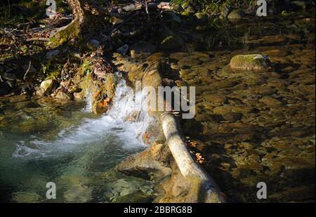 The Kozbanjscek river near Kozbana in Primorska, western Slovenia Stock Photo