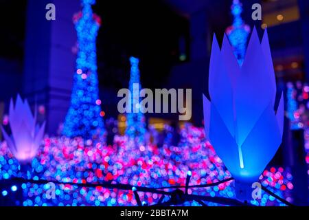 Colorful Christmas lights decoration in Tokyo Stock Photo