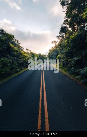 A beautiful scenic road of paradise called Hawaii. The road of Na Pali Coast in island of Kauai. Tourism in the United States of America. Hawaiian Stock Photo