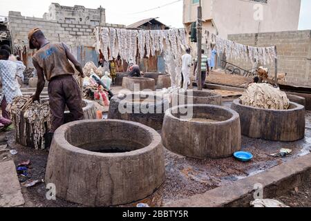 People processing snake skins in a tannery. Stock Photo