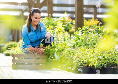 Smiling employees in garden center Stock Photo