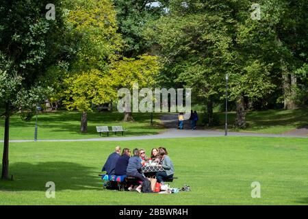 Women having a picnic on a park Stock Photo