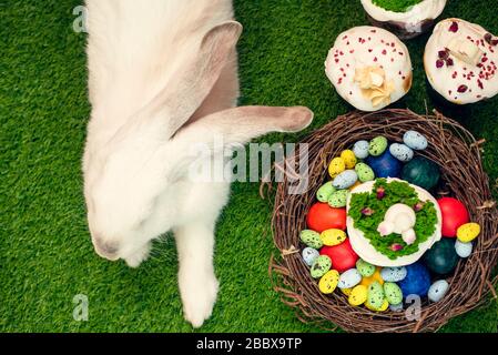 A beautiful fluffy rabbit lies on the green grass next to painted eggs and Easter cakes. Easter holiday concept. Holiday card. Stock Photo