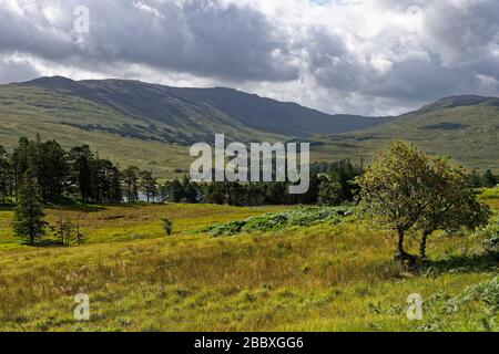 Ben Inverveigh (639M left) & Meall Tairbh (665M right) viewed from West Highland Way near Forest Lodge, Loch Tulla, Argyll & Bute, Scotland, UK Stock Photo