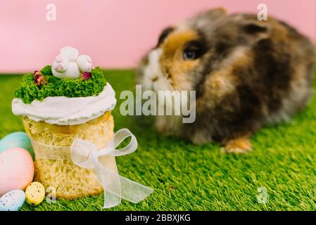Easter bunny sits next to Easter, glazed Easter cakes. Happy easter concept. Copy space for your text. Stock Photo