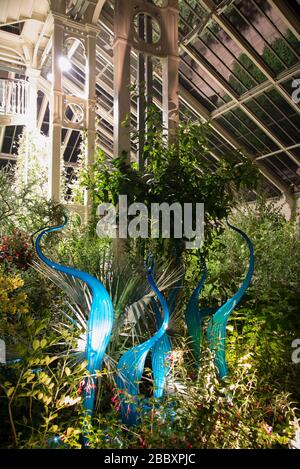 Turquoise Marlins and Floats Dale Chihuly Nights Reflections on Nature Colourful Bright Display Event Winter 2019 at Kew Gardens, Richmond, London Stock Photo