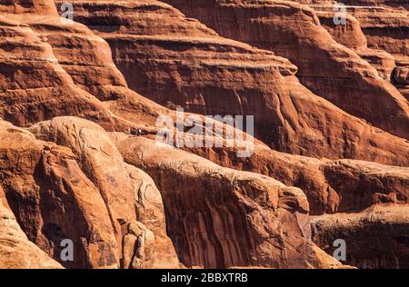 Four people on a sandstone fin in Devils Garden, Arches National Park, Utah. Stock Photo