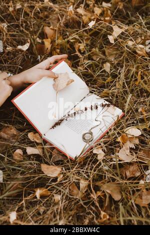 In the autumn grass covered with fallen dry leaves lies an open book of poetry, in it nested stem of grass and old medallyon. Photo an uncovered volume of poetry in the autumn grass. Stock Photo