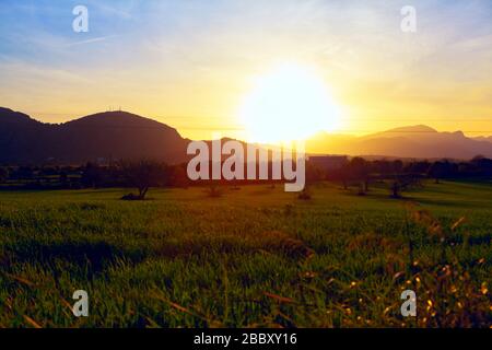 sun going down over the green meadow and mountains Stock Photo