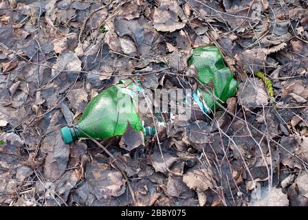 plastic bottle left in spring forest among fallen leaves Stock Photo