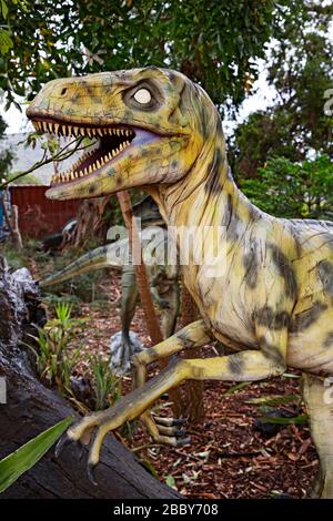 Dinosaur - Australia Zoo Stock Photo - Alamy
