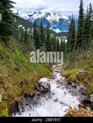 Snow melt stream rushes down a mountain towards Garibaldi Lake with a beautiful snowcapped mountain drop back. Stock Photo