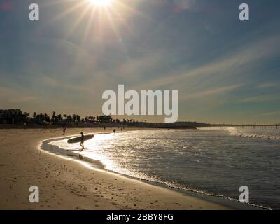 Female surfer in silhouette walks out of water back to land on beach Stock Photo