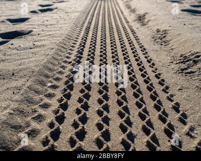 Close up view of tire tread marks on beach sand Stock Photo