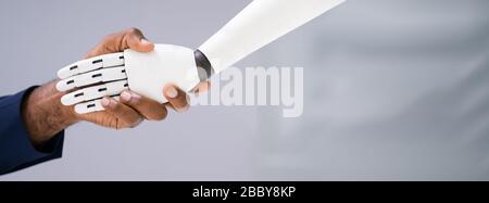 Close-up Of Businessperson And Robot Shaking Hands Over Gray Background Stock Photo