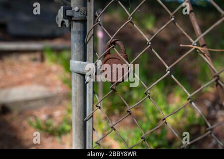 Chain link fence with rusted padlock opening in nature area Stock Photo