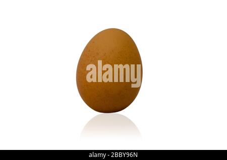 Chicken eggs on a white background. Stock Photo