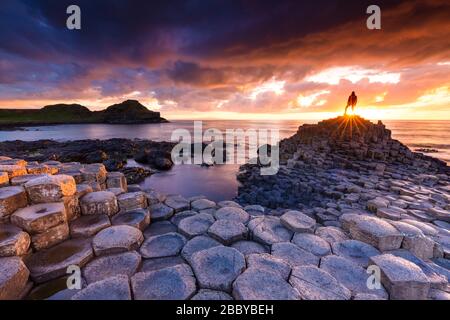 A man enjoying an epic sunset on the Giant's Causeway with it's iconic basalt columns. County Antrim, Ulster region, Northern Ireland, United Kingdom. Stock Photo