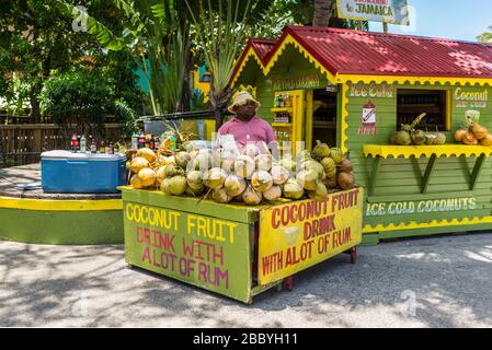 Ocho Rios, Jamaica - April 22, 2019: Ice Cold Coconut Fruit Drink with Rum stall/corner shop in rasta colors at the Ocho Rios Cruise Ship Port in the Stock Photo