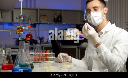 Young scientist examining sprouts in new laboratory Stock Photo