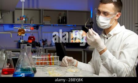 Young scientist examining sprouts in new laboratory Stock Photo