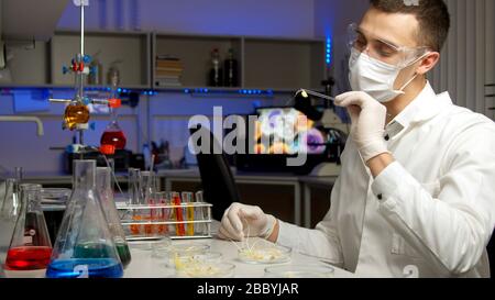 Young scientist examining sprouts in new laboratory Stock Photo