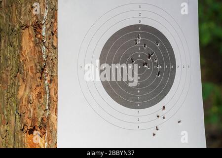 Target in the dash. Shooting from a gun. Targets with bullet holes in the dash. Stock Photo