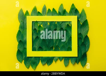 Green mint leaves pattern layout design on yellow background with paper frame on it. Ecology natural creative concept. Top view nature background with spearmint herbs. Stock Photo
