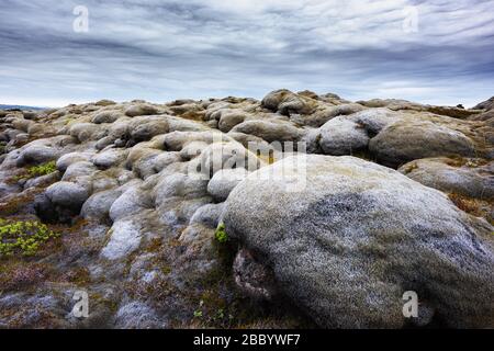 Unique Iceland landscape with lava field covered with brown moss Eldhraun from volcano eruption and cloudy sky Stock Photo
