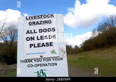 Loose Village, Kent, UK. Warning sign to dog walkers - keep dogs on leads among grazing livestock Stock Photo