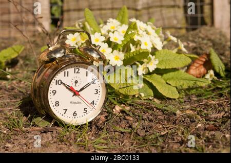 Clocks spring forward in March losing an hours sleep gaining longer evening daylight, British summertime, golden clock Stock Photo