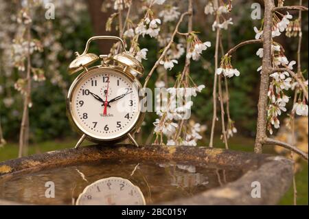 Clocks spring forward in March losing an hours sleep gaining longer evening daylight, British summertime, golden clock Stock Photo