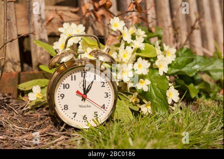Clocks spring forward in March losing an hours sleep gaining longer evening daylight, British summertime, golden clock Stock Photo
