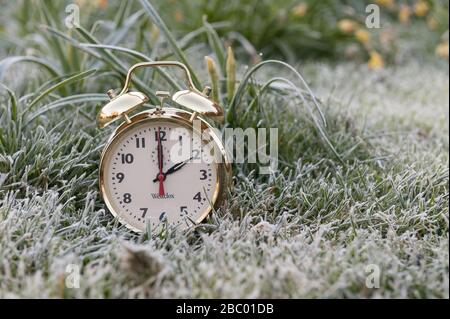 Clocks spring forward in March losing an hours sleep gaining longer evening daylight, British summertime, golden clock Stock Photo
