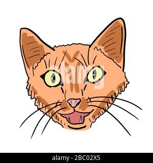 Meowing cat vector illustration. Hand-drawn ginger cat face. Stock Vector