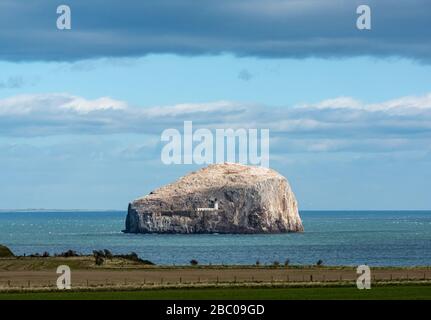 East Lothian, Scotland, United Kingdom. 2nd Apr, 2020. UK Weather: The Bass Rock gannet seabird colony is lit up by sunshine in the Firth of Forth on a sunny day Stock Photo