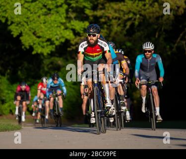 Cyclists caught in action whilst competing in a Criterium Race at Crystal Palace Park. Stock Photo